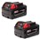 MILWAUKEE M18 BATTERY 2 PAK - XC MILWAUKEE M18 BATTERY 2 PAK - XC
